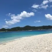Haruの画像