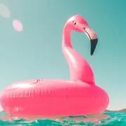 しぃ