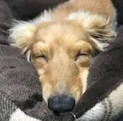 たく