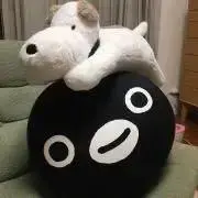 リサの画像