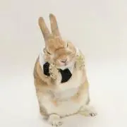☆さんちゃん☆の画像
