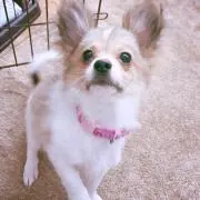ｍｉㅇㅅㅇ