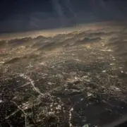わびの画像