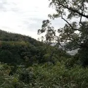音の画像