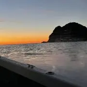 yの画像