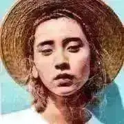 かつおの画像