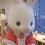まむた