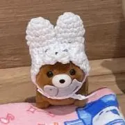 HARUの画像