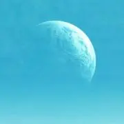 枯葉の画像