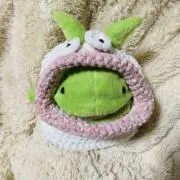 Image of きゃべつ