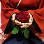 みー@