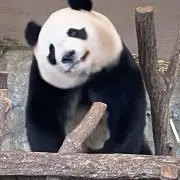 masahikoの画像