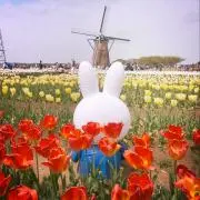 いぐちり＊の画像