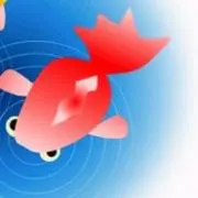 空色金魚