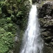 felizの画像