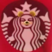 spraの画像
