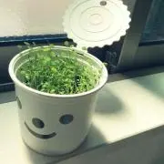 suzumeの画像