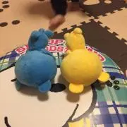 tabrisの画像