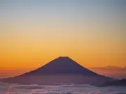 千葉のキャベツの画像