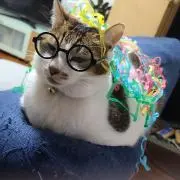 Doraabi-