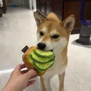 らいの画像