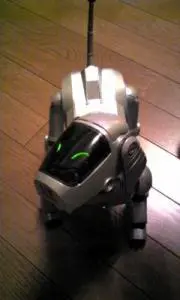 アイボの画像