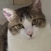 やっちゃん