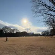 にこいちの画像