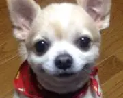 おかん