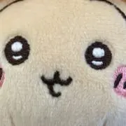 にゃんこの画像