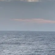 kの画像