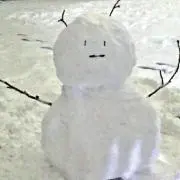 めいの画像