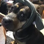 ケイちゃん