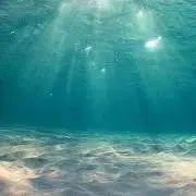 riiiiiiの画像