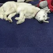 るらら