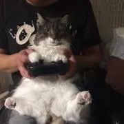 海未ちゃんの画像
