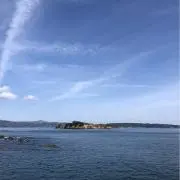 Nohiyuの画像