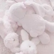 みーみの画像
