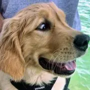 HIDEの画像