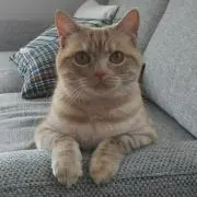 ちぃこ