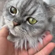 ゆうたの画像