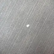 仙