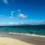 にゃすの画像
