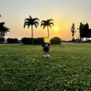 ktの画像