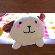 しんshinの画像