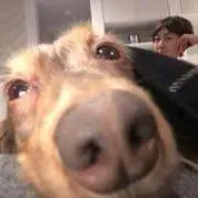 ちるみのの画像