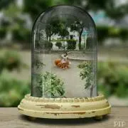 さくら