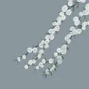 Gracieの画像