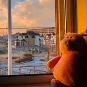 いたずらブタ