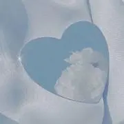 RIの画像